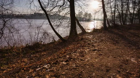 Winter lake shore with trees Stock Footage 58653539