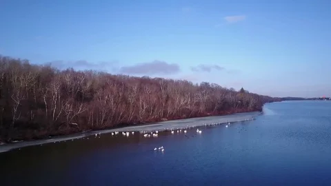 Winter lake shoreline  Stock Footage 77718368