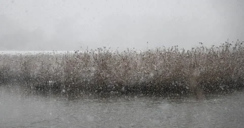 Winter on the lake, snowfall 4K slomo Stock Footage 168906058