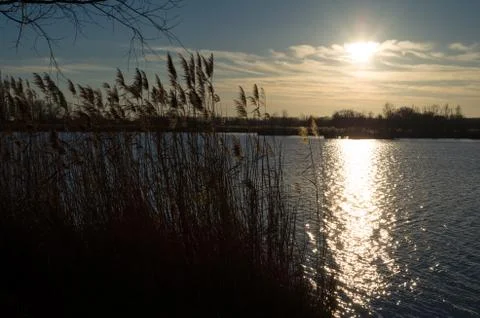 Winter lake at sunset 库存照片
