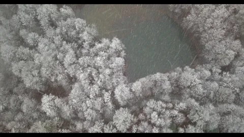 Winter at the lake surrounded by the woods. Stock Footage 130159015