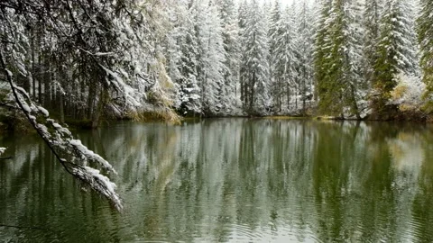 Winter lake. View of a mountain forest lake.Slowly falling snow. Stock Footage 153735355