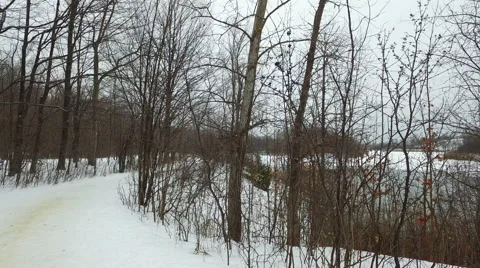Winter Lake Walk Stock Footage 62082824