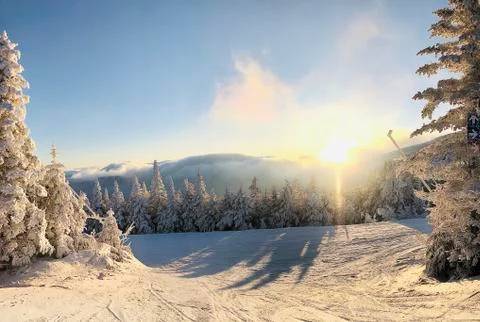 Winter landcape 库存照片