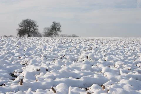 Winter landscape - 01 Stock Photos