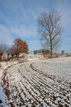 Winter landscape - 05 Stock Photos