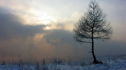 Winter landscape 1 Stock Footage 580264