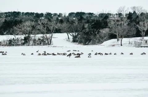 Winter Landscape 4 Stock Photos