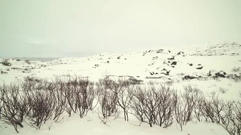 Winter landscape. 4K Stock Footage 78163893