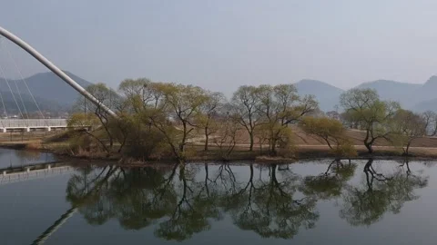 Winter landscape above a river, reflection of trees in the water in Aerial view Stock Footage 245837111