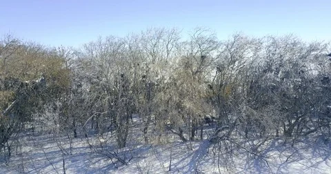 Winter landscape at aerial view Stock Footage 81538624