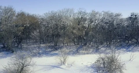 Winter landscape at aerial view Stock Footage 81538784