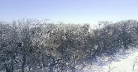 Winter landscape at aerial view Stock Footage 81538860