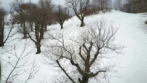 Winter landscape aerial view 스톡 동영상 84372815