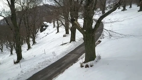 Winter landscape aerial view Video stock 84375431