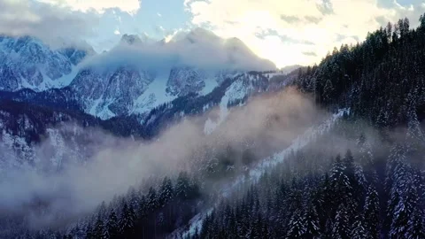 Winter landscape aerial view with pine trees covered in snow below majestic Stock Footage 343695810