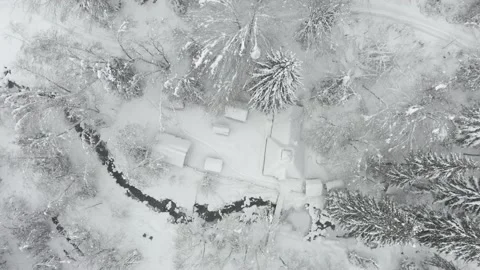 Winter landscape after the storm Stock Footage 170756568