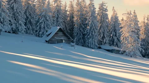 Winter landscape after the storm Video stock 170790912