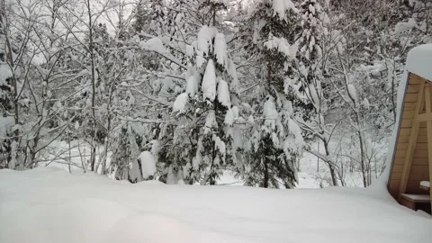 Winter landscape after the storm Video stock 170792839