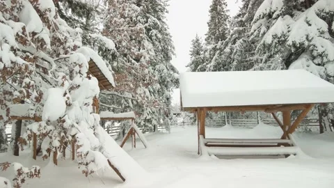 Winter landscape after the storm Stock Footage 170793021