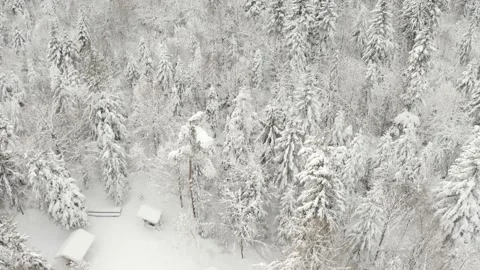 Winter landscape after the storm Stock Footage 170793029
