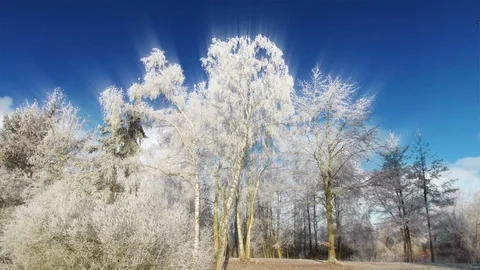Winter Landscape And Clouds Time Lapse Stock Footage 102960669