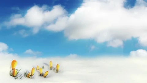 Winter Landscape And Clouds Time Lapse 스톡 동영상 102962588