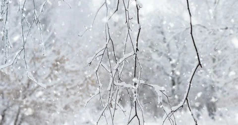 Winter landscape and slight snowfall 4K. Stock Footage 120047698