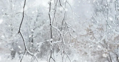 Winter landscape and slight snowfall 4K Stock Footage 121310996