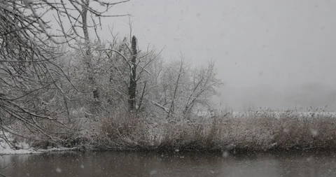 Winter landscape and snowfall, 4K slomo Stock Footage 168905937