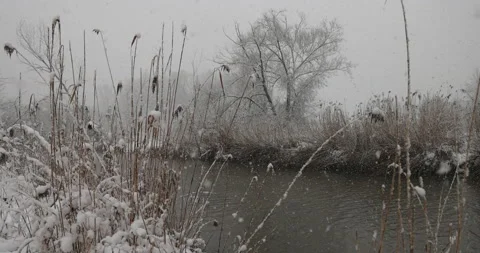 Winter landscape and snowfall, 4K slomo Stock Footage 168906835
