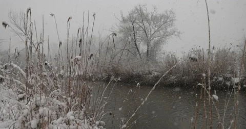 Winter landscape and snowfall, 4K slomo, optical flow Stock Footage 169043279