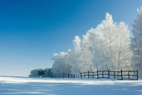 Winter landscape and trees Stock Photos