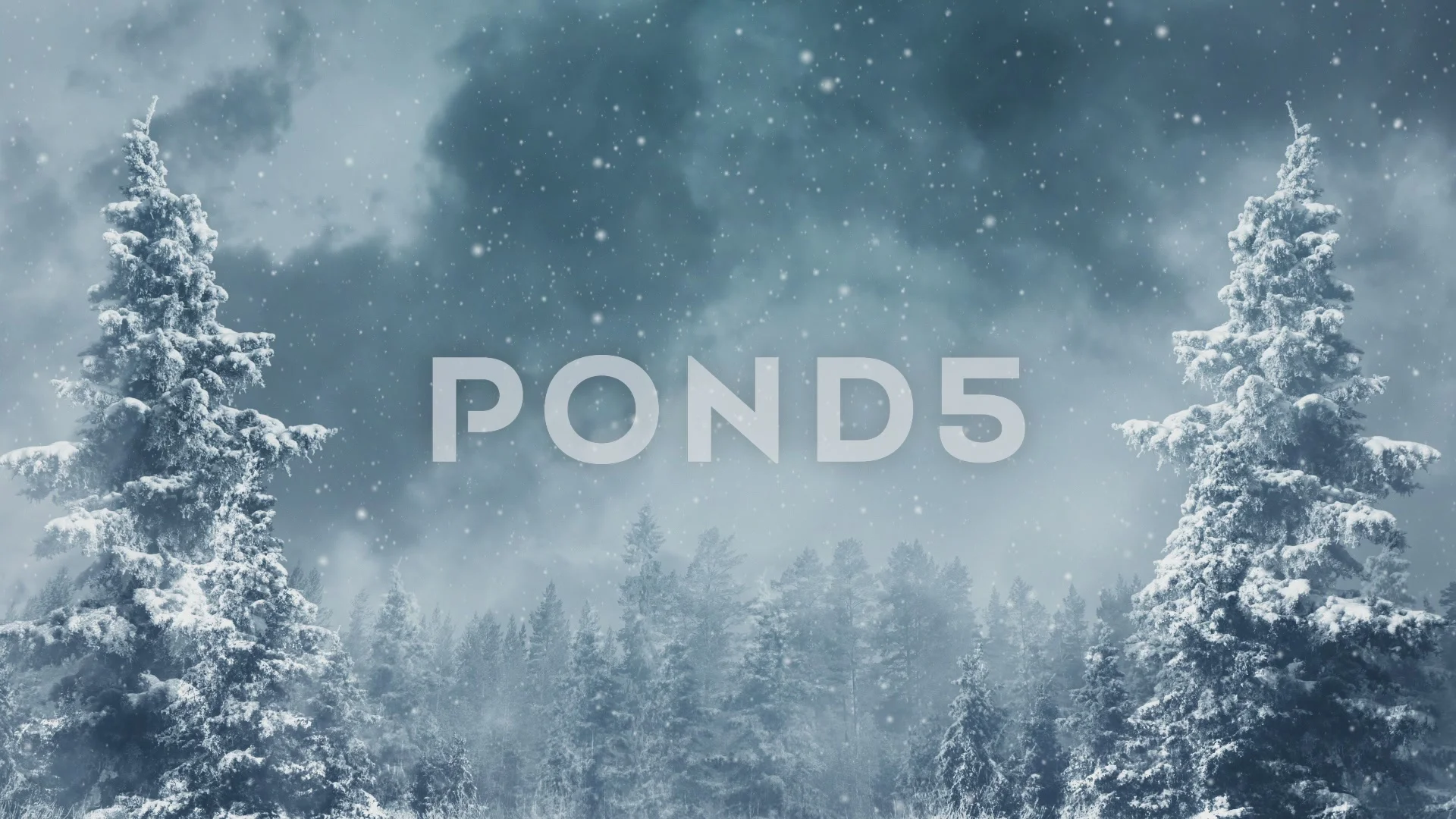 Snow Forest Wallpaper Animated