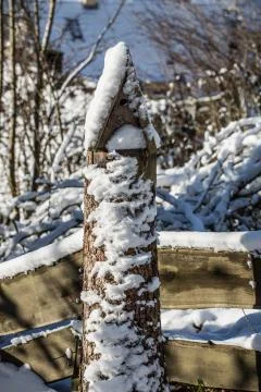 Winter landscape with bare branches Stock Photos