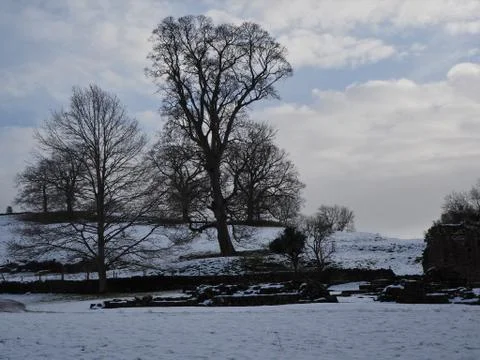 Winter landscape with bare trees and snow in Yorkshire, England Stock Photos