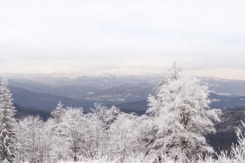 Winter landscape in Bavaria Stock-Fotos
