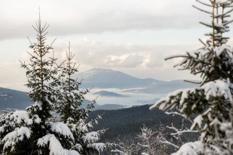 Winter landscape in Bavaria Stock Photos