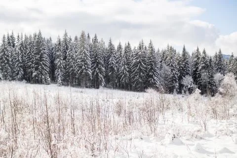 Winter landscape in Bavaria 스톡 사진