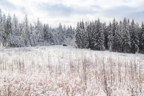 Winter landscape in Bavaria 스톡 사진