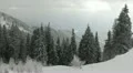 Winter Landscape, Beautiful Mountain Valley, Cold, Fir Tree HD Footage