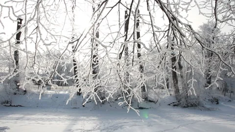 Winter landscape - beautiful trees, covered with hoarfrost. Stock Footage 89620801