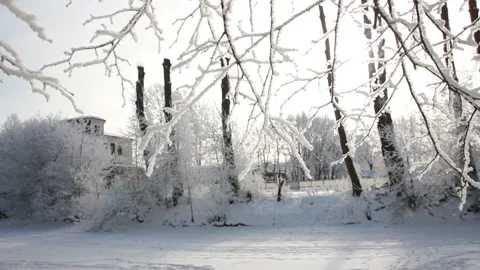 Winter landscape - beautiful trees, covered with hoarfrost. Stock Footage 89622425