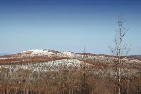 Winter landscape at the beginning of winter Stock Photos