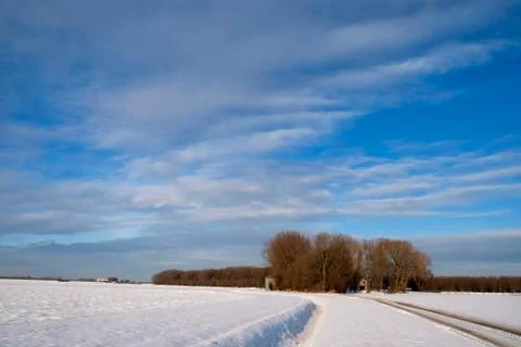 Winter landscape in the Biesbosch Stock Photos