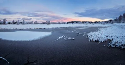 Winter landscape with birch covered with snow on a sunny day Stock Photos