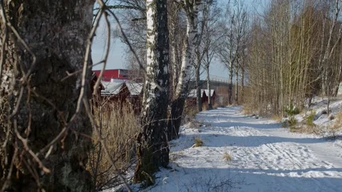 Winter Landscape With Birch Trees And Red Shelters Stock Footage 168905893