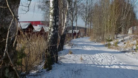 Winter Landscape With Birch Trees And Red Shelters Stock Footage 168905894