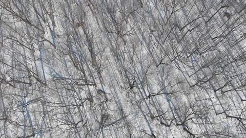Winter landscape, Birds eye view Stockbeeldmateriaal 103828860