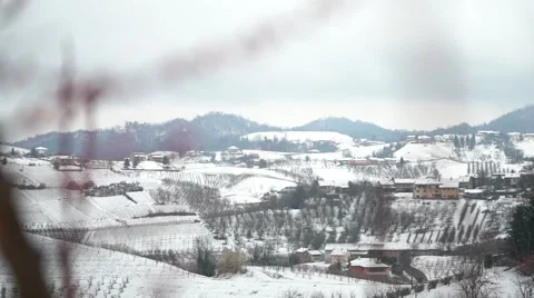 Winter landscape with blossom cherry trees Stock Footage 61363986